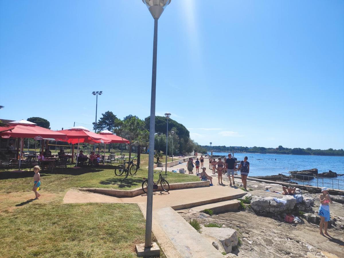 Azalea, Apartman Umag