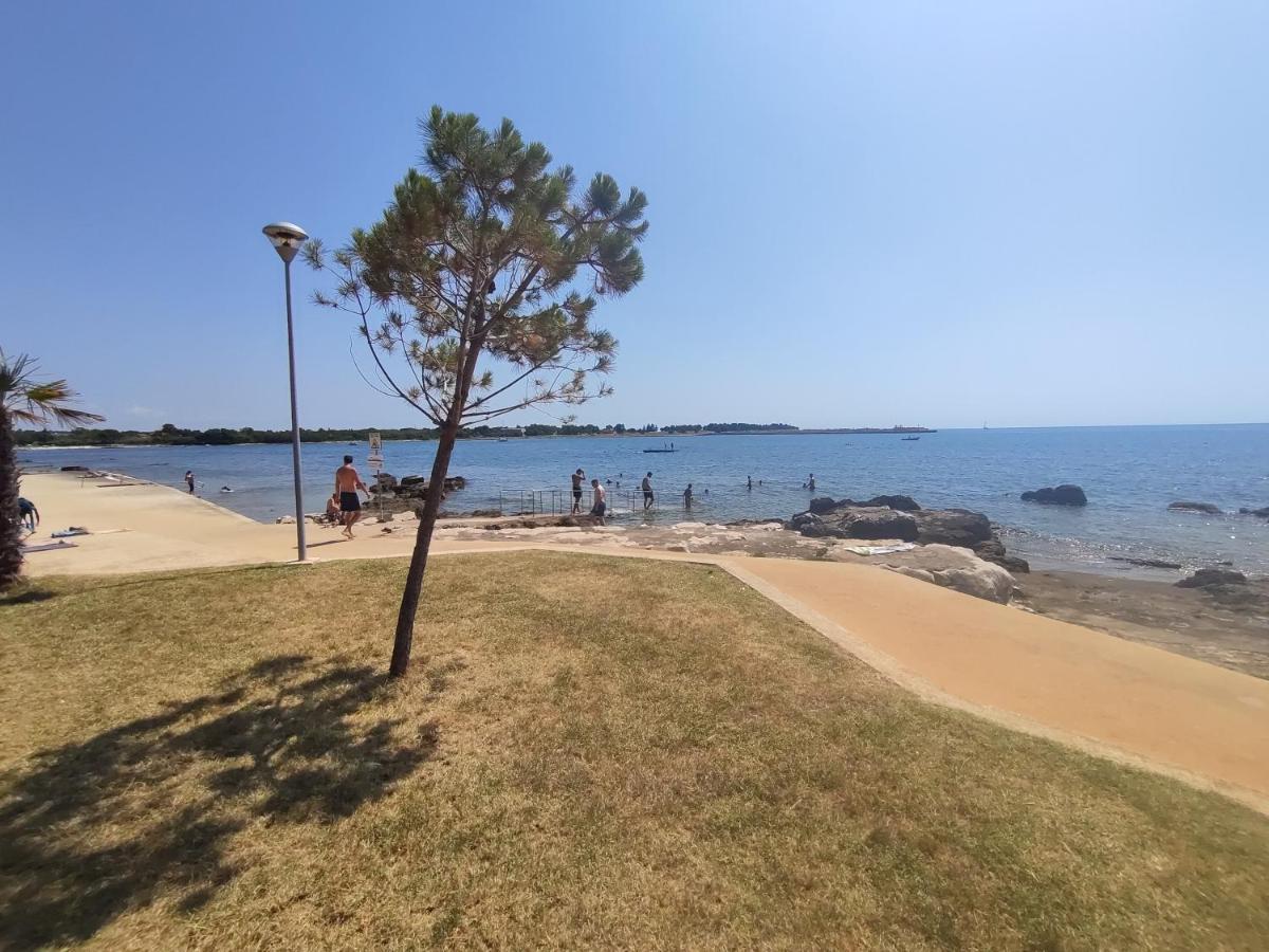 Azalea, * Umag