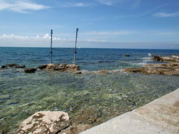 Azalea, Apartman Umag